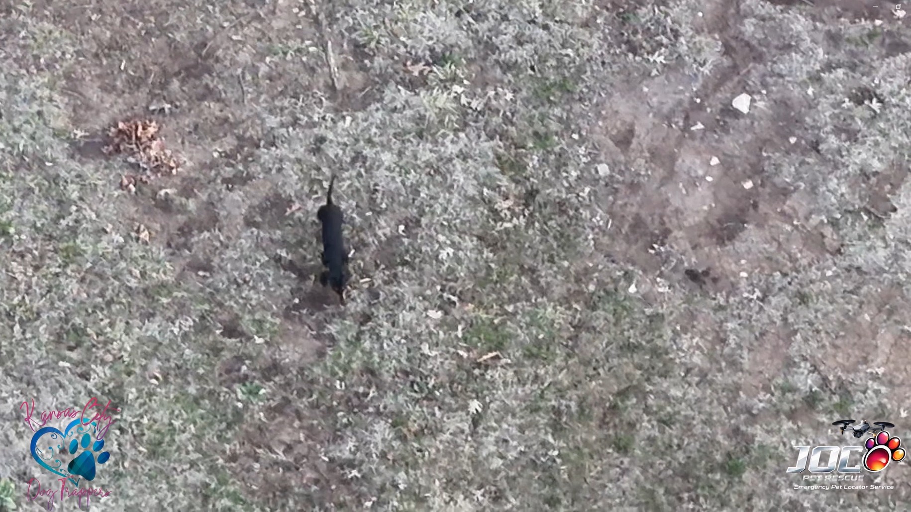Dog recovery thermal drone footage in Kansas City